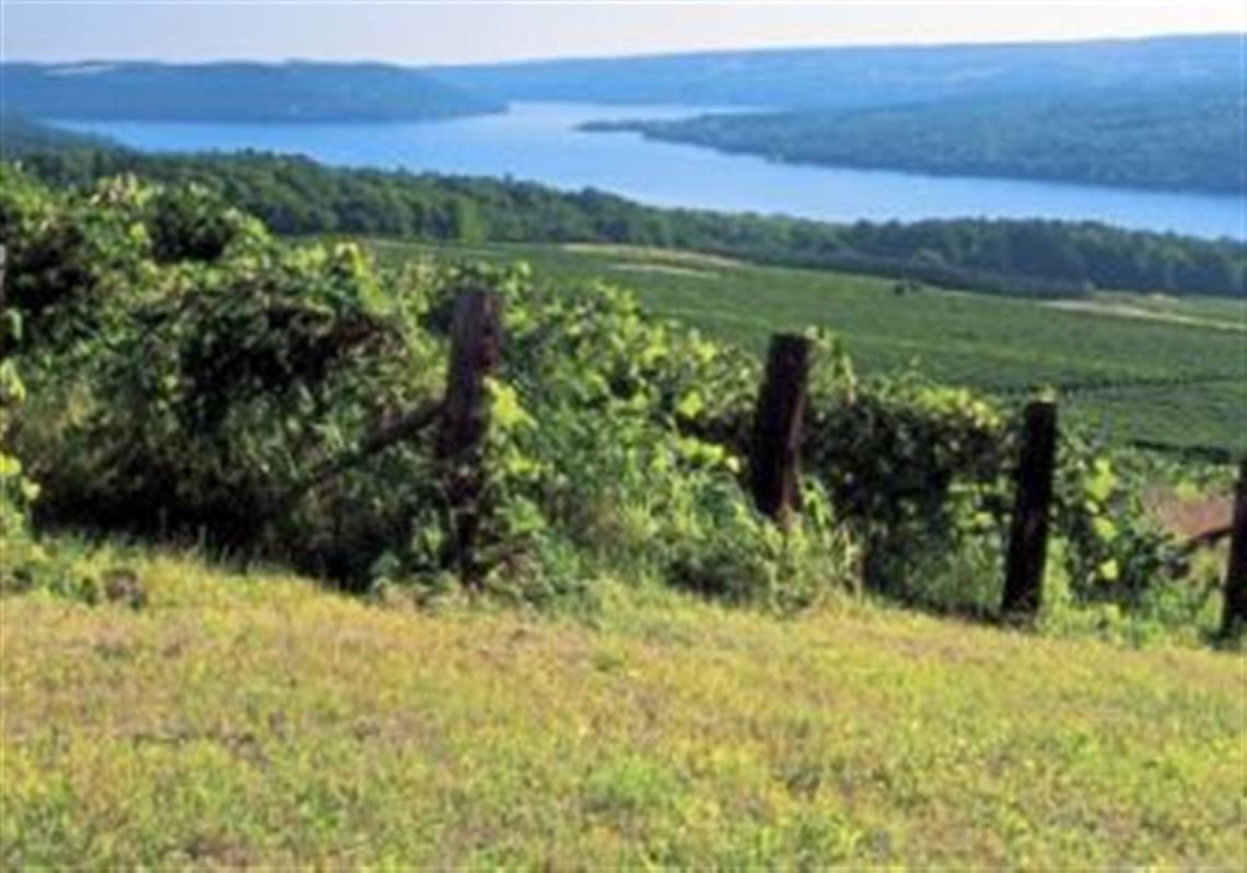 Photo/Article Credit: Dave DeSimone For the Post-Gazette, Konstantin Frank's legacy continues in the excellent wines of this Finger Lakes winery, Associated Press